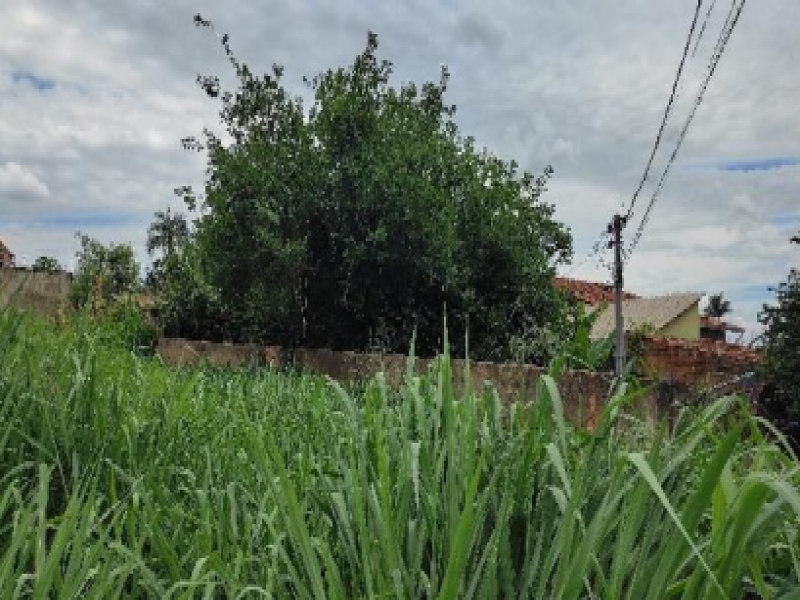 Terreno no Setor dos Afonsos (foto 3 de 3)