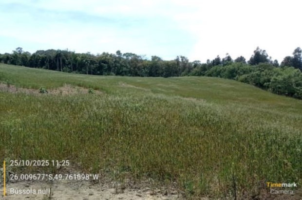 Imagem do imóvel TERRENO RURAL 60.298,00m² | CAMPO DO TENENTE/PR