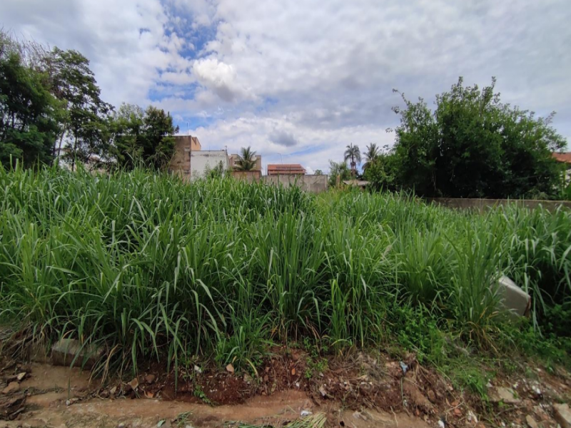Terreno no Setor dos Afonsos em Aparecida de Goiânia/GO — foto 1
