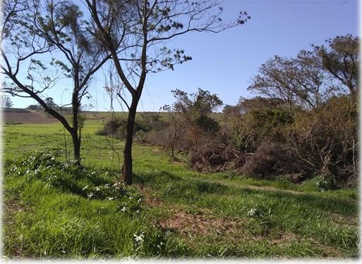 Imagem do imóvel AREA RURAL | 30.540,00 M² | NOVA ESPERANÇA - PR