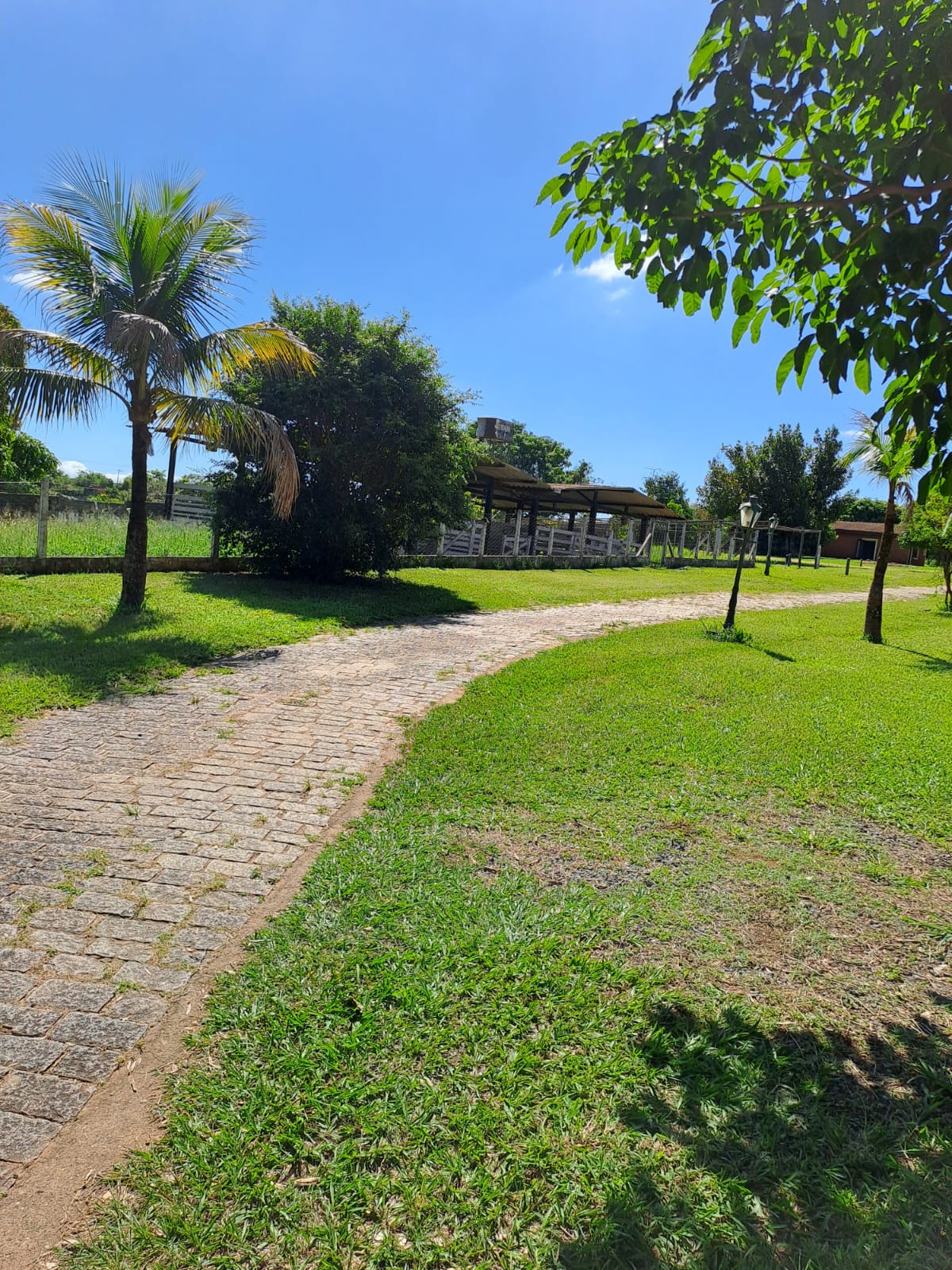 Gleba com 12 quartos (foto 3 de 17)