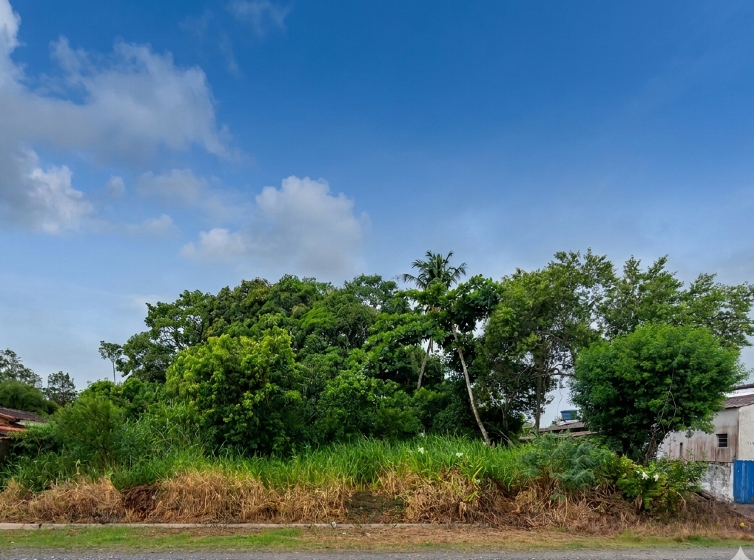 Imagem do imóvel TERRENO 250m² | IGUAPE/SP