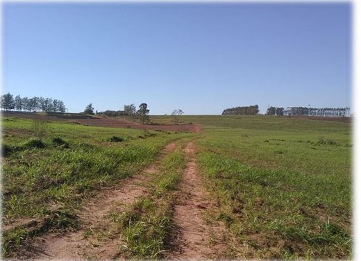 Imagem do imóvel AREA RURAL | 30.548,00 M² | NOVA ESPERANÇA - PR