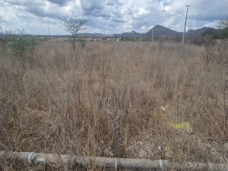 Imagem do imóvel TERRENO | ARCOVERDE/PE