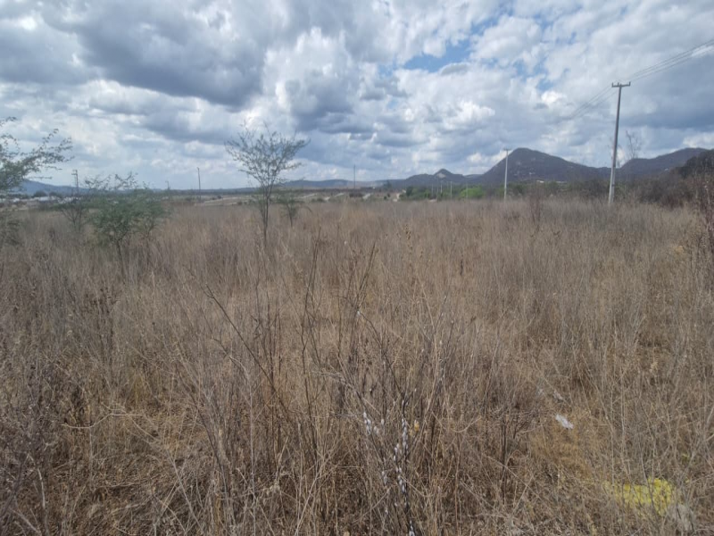 Imagem do imóvel TERRENO | ARCOVERDE/PE