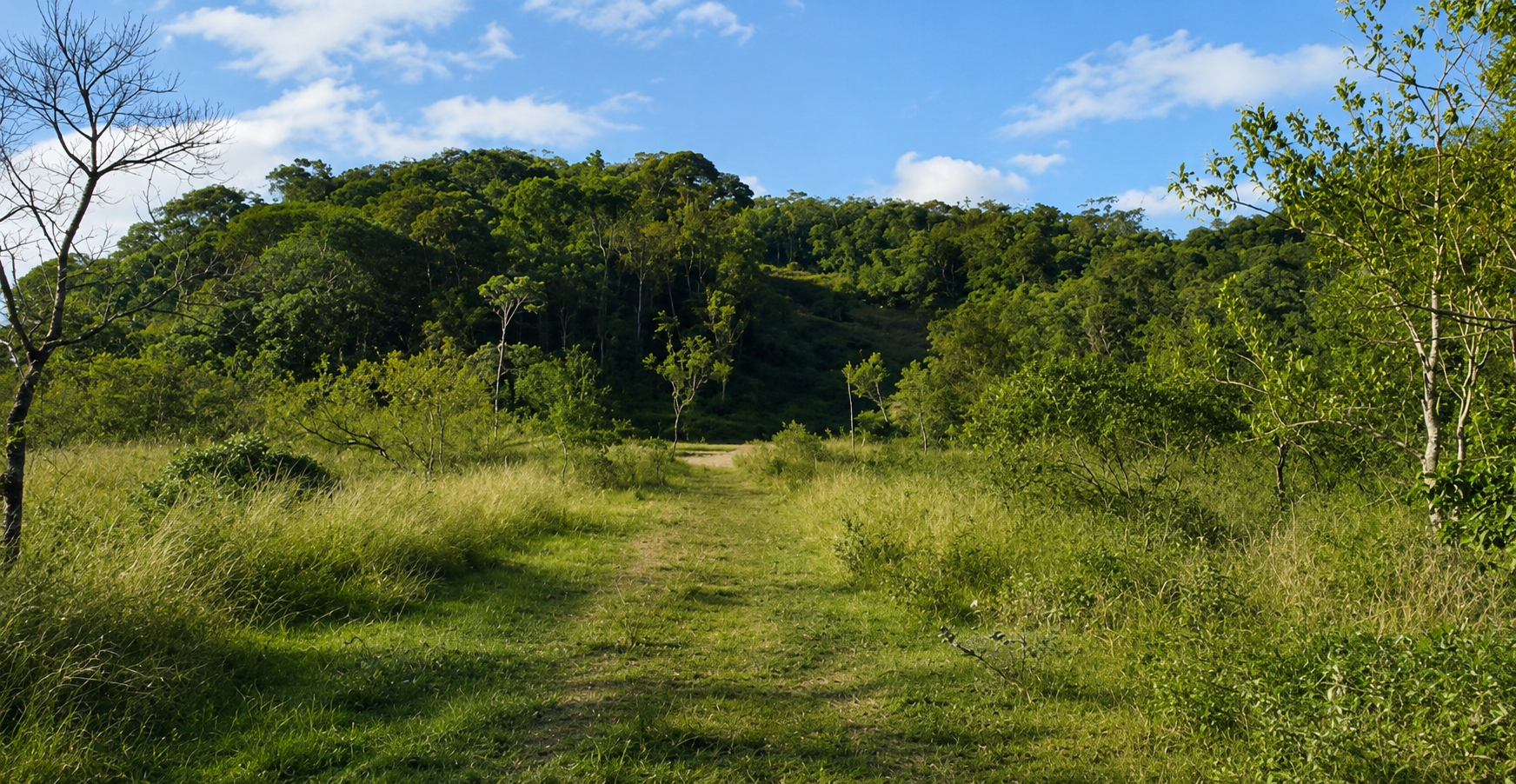 Imagem do imóvel TERRENO 74.953M² | ANTONINA/PR | ALIENAÇÃO FIDUCIÁRIA