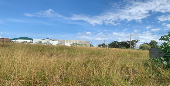 Imagem do imóvel TERRENO 250M² | CATALÃO/GO