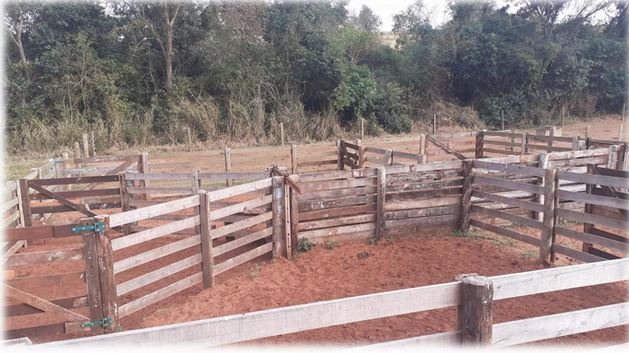 Imagem do imóvel AREA RURAL | 30.548,00 M² | NOVA ESPERANÇA