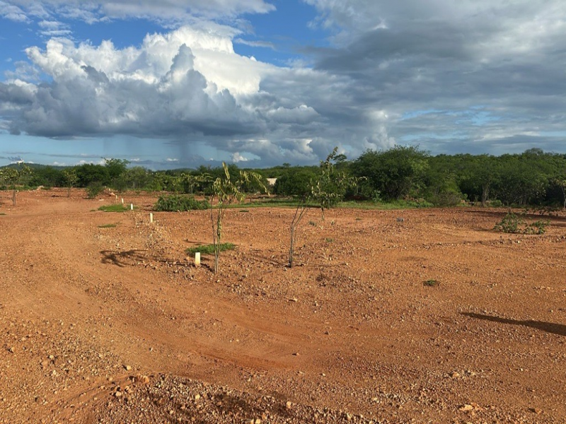 Imagem do imóvel TERRENO | CARANAÍBA/PE