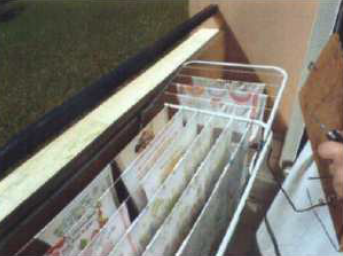 Apartamento no Jardim Portal do Sol (foto 15 de 21)