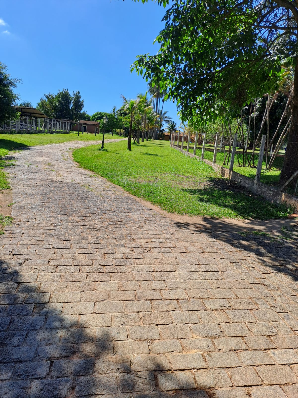 Gleba com 12 quartos (foto 7 de 17)