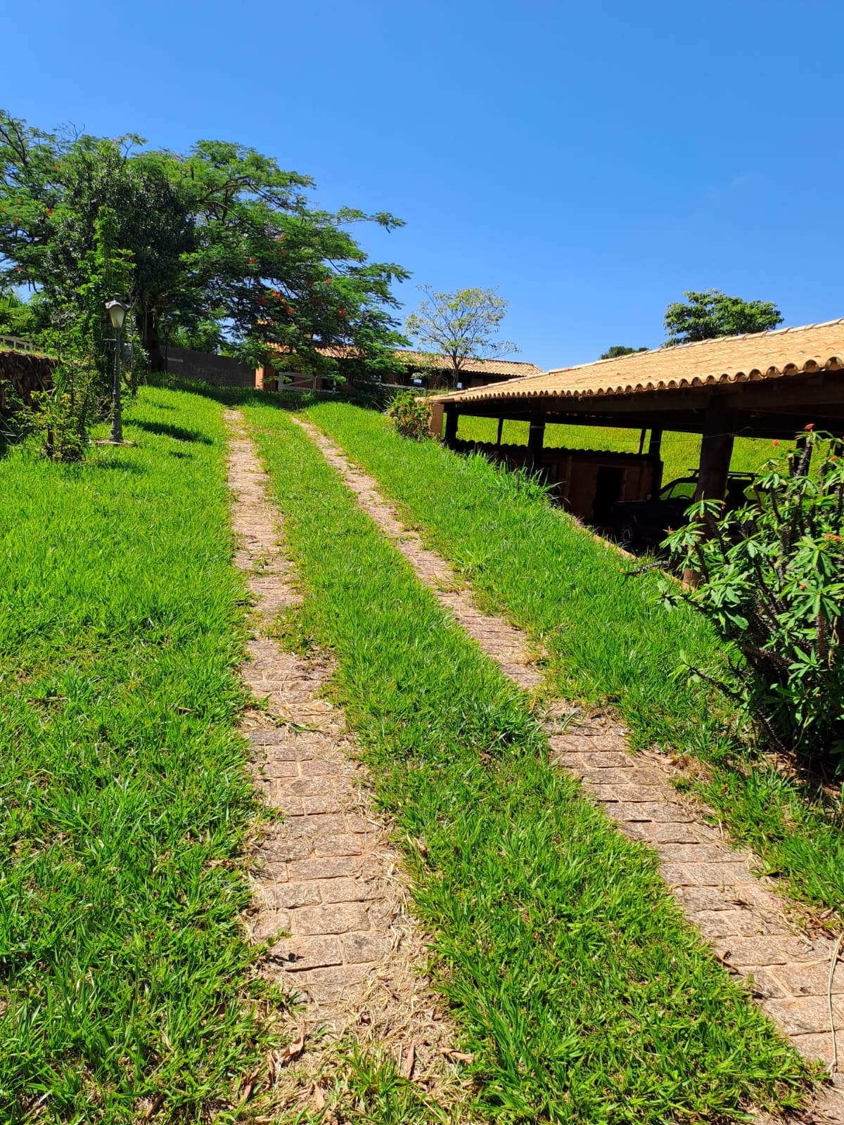 Gleba com 12 quartos (foto 4 de 17)