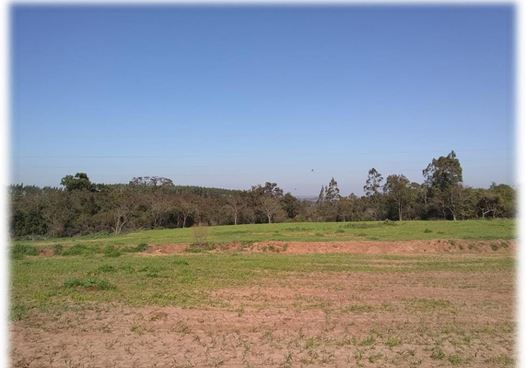 Gleba (foto 5 de 7)